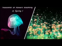 New Year Toy Firework Jellyfish Consumer Novelty Fireworks Skyshots Pyrotechnic