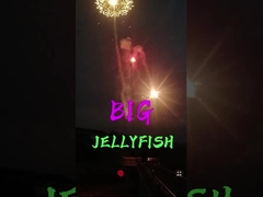 Liuyang Big Jellyfish Fireworks Novelty Fireworks Skyshots Fireworks Pyrotechnic