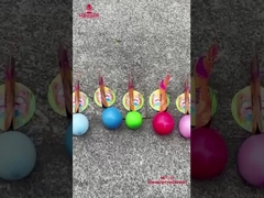 Chinese Factory Kids Fireworks Liuyang Swan Laying Eggs Fireworks Novelty Funny Toy Fireworks For Ch