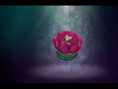 Beautiful Ground Spinning Lotus Fireworks / Birthday Toys Fireworks