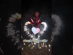Festival Outdoor Toy Fireworks Magic Butterfly Fireworks 1.4G 0336 For Celebration