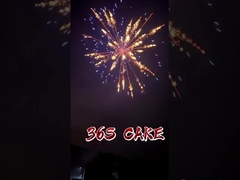 Chinese Wholesale 2 Inch 36 Shots Cake Fireworks Pyrotechnics With Great Effect 2025 Fireworks Cake