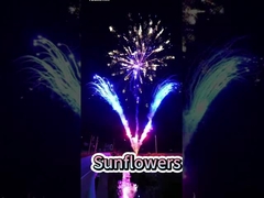 Fireworks Professional Sunflower Pyrotechnics Wholesale Outdoor 1.3G Cake Fireworks For Celebration