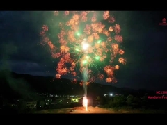 Mandarin Fireworks 1.3g Un0335 Pyrotechnics Professional Display Cake Fireworks Outdoor 