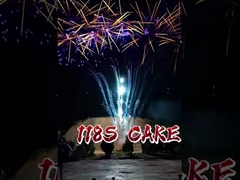 118 Shots Consumer Cake Fireworks Wedding Party Cake Fireworks Pyrotechnics Festival Celebration