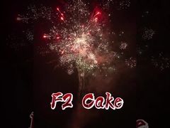 Liuyang Factory Customized F2 Cake Fireworks Direct China Import CE Wholesale Fireworks Cake
