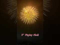 Festivals And Celebrations 2