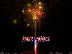 Customized 100 Shots Pyrotechnics Consumer Cake Fireworks For New Year Events Festival Celebration