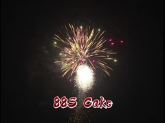 88 Shots High Quality Lower Price CE Approved Display Wholesale Consumer Chinese Cake Fireworks