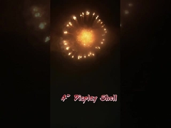 4'' Inch Wholesale Pyrotechnics Chinese Factory 1.3G Un0335 Professional Display Shells Fireworks
