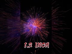 China Pyrotechnics 1.2 Inch Fireworks 1.4g Consumer Cake Fireworks Factory Price Outdoor Fireworks