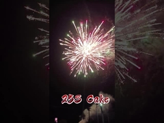 Liuyang Mandarin Factory Wholesale Paper Fireworks 1.4g Pyrotechnics 2 inch 25 Shots Cake Firework