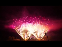 Liuyang Mandarin Huge Pyrotechnics 0.8 Inch 300 Shots 1.3g Un0335 Professional Big Fireworks Cake