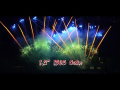 Professional 1.2 Inch 130 Shots Fan-shaped Chinese Fireworks Pyrotechnics 1.3g Cake Fireworks For Ce