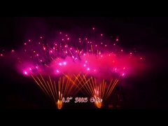 Outdoor 1.3g Pyrotechnics 0.8'' 300 Shots Biggest Fireworks Professional Display Fireworks Cake