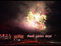 New Arrival Fireworks