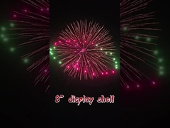 8'' Inch Display Shells 1.3g Professional Pyrotechnics Ball Salute Mortar Shells Fireworks