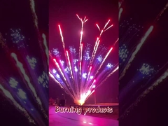 Professional Cake Fireworks Chinese Pyrotechnics 100 150 200 300 600 Shots 1.3g Cake Fireworks