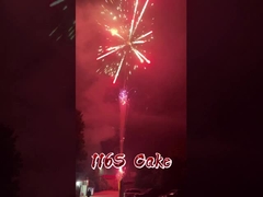 Liuyang Factory 116 Shots Fireworks Wholesale Pyrotechnics Chinese Outdoor Cake Fireworks 