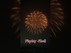 Liuyang High Quality 1.3G Professional Mortars Pyrotechnic Display Artillery Shells Fireworks