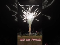 Chinese Wholesale Pyrotechnics Wolf Howl Cake Fireworks Feuerwerk Pirotecnia Fuochi D'artificio 