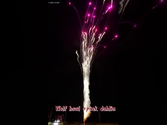 Chinese Hot Fireworks Wolf Howl And Pink Dahlia Outdoor Wholesale Cake Standard Fireworks Cake