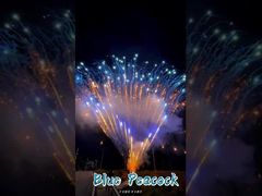 Factory  0.8 Inch 300 Shots 1.3g Professional Cake Fireworks Display Firework Pyrotechnics Salute