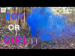 Chinese Factory Daytime Wedding Handheld Color Smoke Flare Fireworks Party Gender Reveal Smoke Bombs