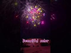 Factory Customized Beautiful Color 1.4g Consumer Fireworks Cake Fireworks Battery Cake Pyrotechnics