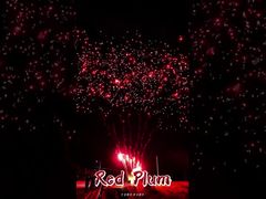 Liuyang Fireworks Supplies 56 Shots Salute Outdoor Cake Batteries Red Plum Fireworks Pyrotechnics