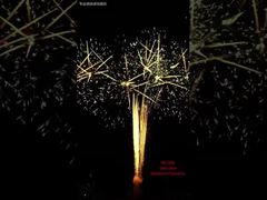 100 Shots Festival Cake Fireworks Display Events Outdoor Professional Pyrotechnics 1.3G Fireworks