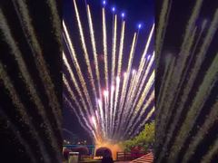 Chinese Factory Customizable Fireworks 1.3G Professional Cake Fireworks Christmas Festival Wedding