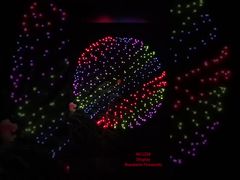 Liuyang Factory Professional Fireworks 1.3G Un0335 Pyrotechnics 2