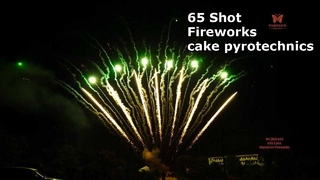 Liuyang 65 Shots 1.3G Professional Fireworks Cake Display Chinese Wholesale Festival Fireworks 