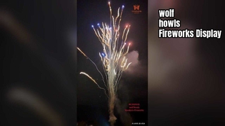 Chinese Factory Custom 100 Shot Wolf Howl Cake Fireworks Wholesale Pyrotechnics 