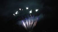 Mandarin Display 90 Shots Salute Pyrotechnics Professional Cake Fireworks For Party