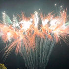Chinese Cake Fireworks Type Festival Celebration Pyrotechnics Outdoor Fireworks 2024