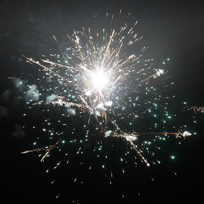 56 Shots Consumer Cakes Fireworks 2024 1.4g UN0336 For Party