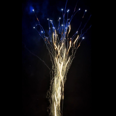 China Wholesale Pyrotechnics New Year Wolf Howl and Blue Dahlia Cake Fireworks Christmas Fireworks Cake