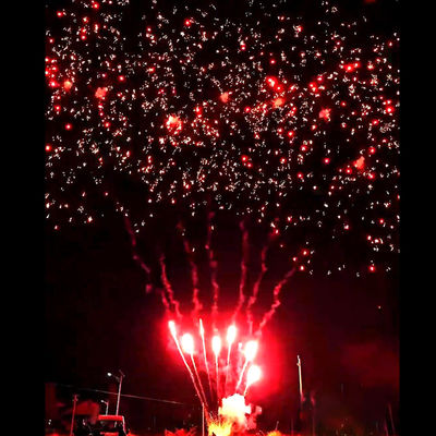 Liuyang Fireworks Supplies Mandarin New Hot Fireworks 56 Shots Salute Outdoor Cake Batteries Red Plum Fireworks Pyrotechnics