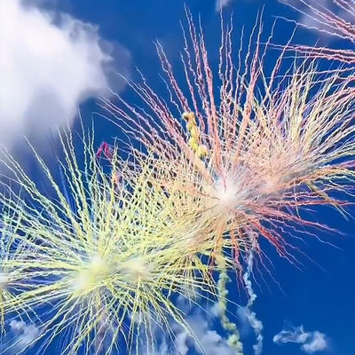 Liuyang Mandarin Wholesale Customized Consumer Fireworks Daytime Fireworks Howling Wolf Colorful Smoke Flare Cake Pyrotechnics