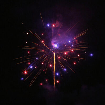Liuyang Mandarin 1.3G Professional Fireworks Display Pyrotechnics 120 Shots Cake Fireworks Christmas Halloween Wedding