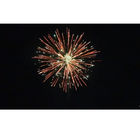 16 Shots Consumer Cake Fireworks Chinese Customized Export Fireworks Salute