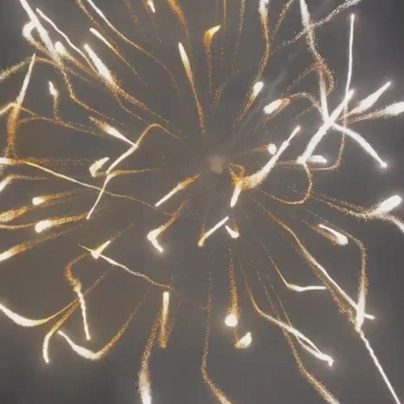 6 Inch Professional Display Firework Shells - 1.3g UN0335 Pyrotechnics