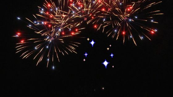 Chinese 25 Shots Fan Cake Fireworks For Celebration Custom Outdoor Fireworks