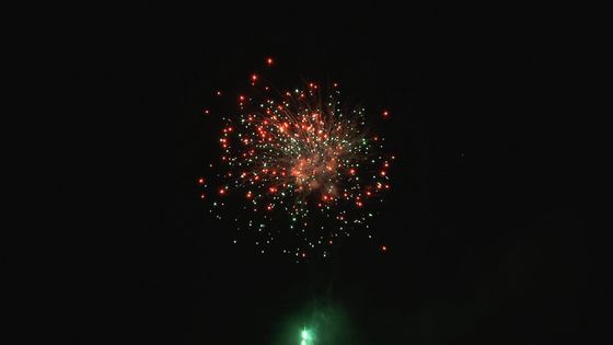 Christmas Festival Outdoor Professional Cake Fireworks Customizable 49 Shots