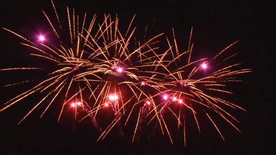 Outdoor 20 Shots Celebration Cake Pyrotechnics Fan Shaped Customized 1.4g