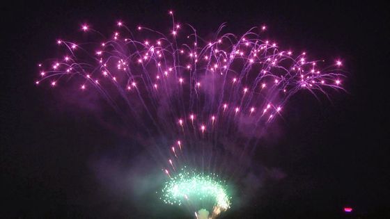 Liuyang Mandarin Cake Pyrotechnics 208 Shots Professional Display Fireworks 1.3g