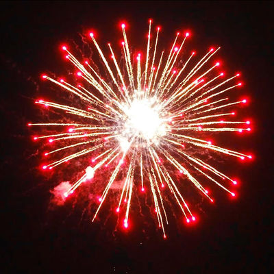 Chinese High Quality 1.4 Pro  4 Inch 16 Shots Cake Fireworks Custom Fire Works