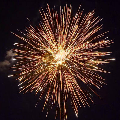 Import China Mandarin Fireworks Liuyang Pyrotechnics 2 Inch 12 Shots 500g Consumer Cake Fireworks For Celebration